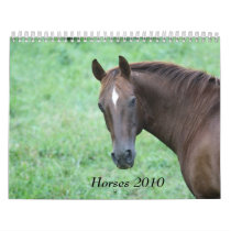 2010 Horse Calendar