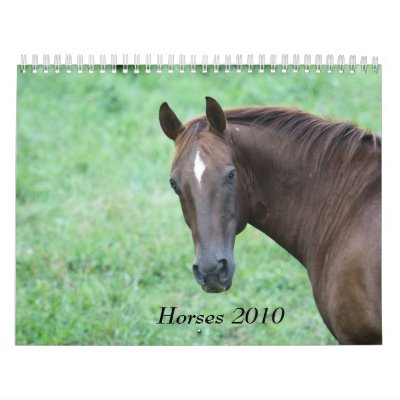 2010 Horse Calendar by amwesley