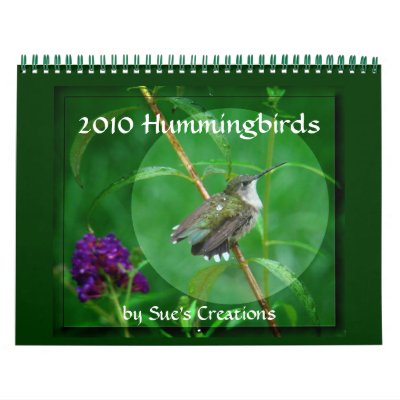 2010 Hummingbirds Calendar by birdersue
