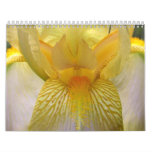 2010 Iris Delight Calendar