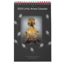 2010 Little Animal Calendar