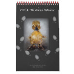 2010 Little Animal Calendar