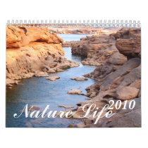 2010 , Mountain river / stone Mountain calendars