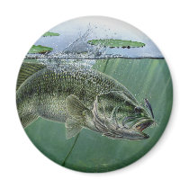 2010 National Best of Show by A. Hunter Magnets