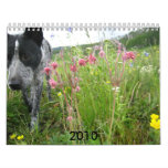 2010 Nature Calendar