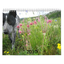 2010 Nature Calendar