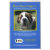 canine, bone, cancer, bone, cancer, dogs,