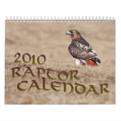 2010 Raptor Calendar by Pandion
