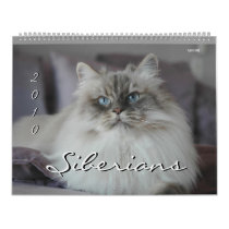 2010 Siberians Cats & Kittens Calendar calendars