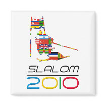 2010: Slalom magnets