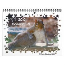 2010 Squirrels Calendar by birdersue 2010 Squirrels Calendar