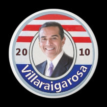2010 Villaraigosa Magnet