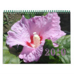 2010 Wall Calendar