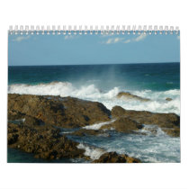 2010 Water Calendar