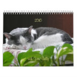 2010 with Guru Belly Calendars