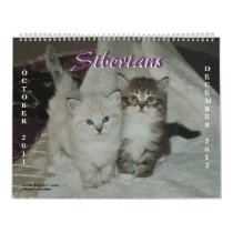 2011-2012 Siberian Cats Calendar calendars