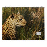 2011 Africa Wild calendars - Huge & customizable