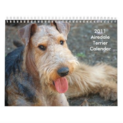2011 Airedale Terrier Calendar by doggeddogdom