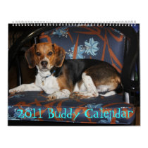 2011 Beagle Calendar