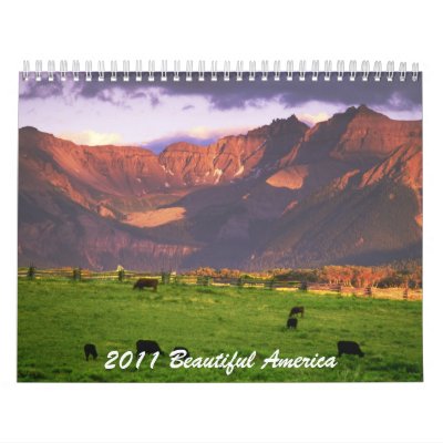 2011 Beautiful America Wall Calendar by aspenstuff