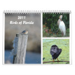 2011 Birds of Florida Calendar