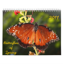 2011 Butterflies Calendar