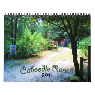 2011 Caboodle Calendar by Caboodles
