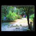 2011 Caboodle Calendar