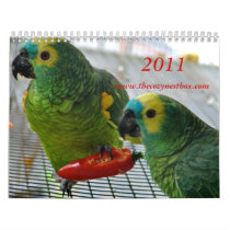 2011 Calendar
