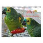 2011 Calendar