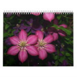 2011 Calendar