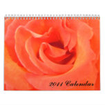 2011 Calendar