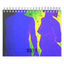 2011 WALL CALENDAR