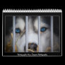 2011 calendar