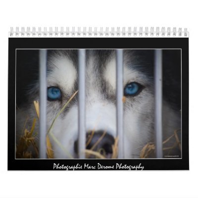 2011 calendar by mderome