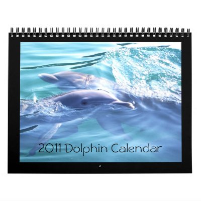 2011 Calendar Dolphin Photography by ilovedolphins