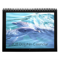 2011 Calendar Dolphin Photography