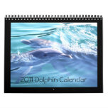 2011 Calendar Dolphin Photography