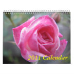 2011 Calendar - Flowers