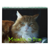 2011 Calendar - Moments in Time