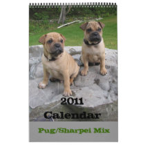2011 Calendar, Pug/Sharpei Mix