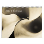 2011 Calendar - Sepia