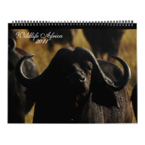 2011 Calendars African animals- Huge size