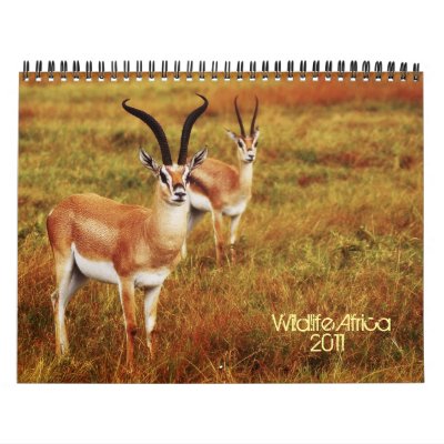 2011 Calendars - Wildlife Africa by Rowood