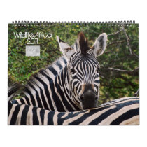 2011 Calendars - Wildlife Africa - Huge size