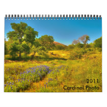 2011 Cardinal Photo Calendar calendars