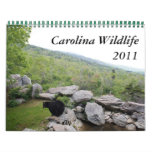 2011 Carolina Wildlife Calendar