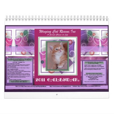 February 2011 Calendar Large. 2011 Cat Calendar-Large Size by Sundae1227