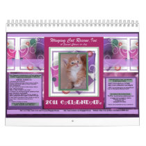 2011  Cat Calendar-Large Size