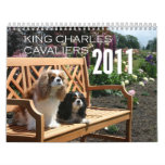 2011 Cavalier King Charles Spaniel Calendar